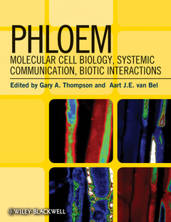 Cover of the book Phloem