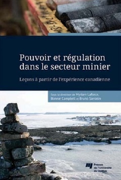 Cover of the book POUVOIR ET REGULATION DANS LE SECTEUR MINIER