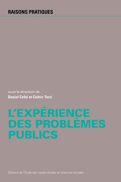 Couverture de l’ouvrage L'expérience des problèmes publics