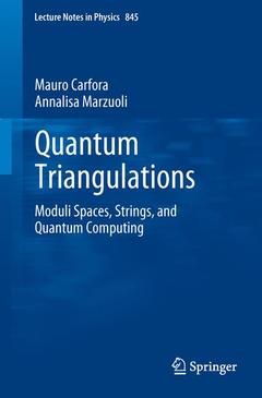 Couverture de l’ouvrage Quantum triangulations: Moduli spaces, strings and quantum computing