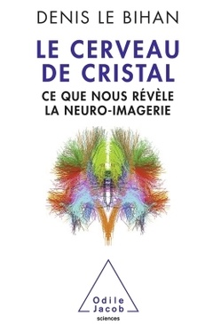 Couverture de l’ouvrage Le Cerveau de cristal