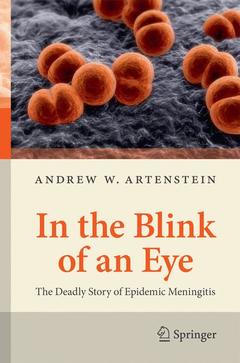 Cover of the book In the Blink of an Eye