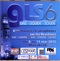 Couverture de l’ouvrage GLS6 : 6èmes journées Francophones sur les réacteurs, gaz-liquide et gaz-liquide solide, Marrakech 2012 (Récents progrès en génie des procédés N° 102)