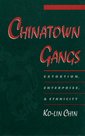 Couverture de l'ouvrage Chinatown Gangs