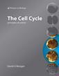 Couverture de l'ouvrage The Cell Cycle: Principles of Control (Primers in Biology Series) 