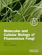 Couverture de l'ouvrage Molecular and cell biology of filamentous fungi (practical approach ser. 249) hardback