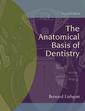 Couverture de l'ouvrage The anantomical basis of dentistry 2° ed