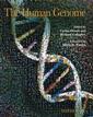 Couverture de l'ouvrage Human genome