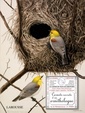Couverture de l'ouvrage Carnets secrets d'un ornithologue