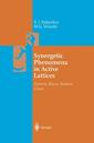 Couverture de l'ouvrage Synergetic Phenomena in Active Lattices