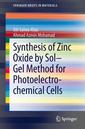 Couverture de l'ouvrage Synthesis of Zinc Oxide by Sol-Gel Method for Photoelectrochemical Cells