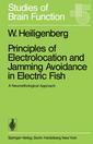 Couverture de l'ouvrage Principles of Electrolocation and Jamming Avoidance in Electric Fish