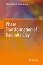 Couverture de l'ouvrage Phase Transformation of Kaolinite Clay