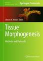 Couverture de l'ouvrage Tissue Morphogenesis