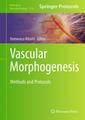 Couverture de l'ouvrage Vascular Morphogenesis