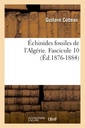 Couverture de l'ouvrage Échinides fossiles de l'Algérie. Fascicule 10 (Éd.1876-1884)