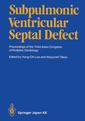 Couverture de l'ouvrage Subpulmonic Ventricular Septal Defect