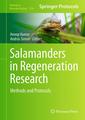 Couverture de l'ouvrage Salamanders in Regeneration Research