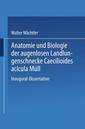 Couverture de l'ouvrage Anatomie und Biologie der augenlosen Landlungenschnecke Caecilioides acicula Müll