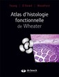 Couverture de l'ouvrage Atlas d'histologie fonctionnelle de Wheater