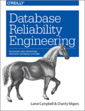 Couverture de l'ouvrage Database Reliability Engineering