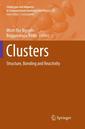 Couverture de l'ouvrage Clusters