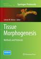 Couverture de l'ouvrage Tissue Morphogenesis
