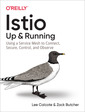 Couverture de l'ouvrage Istio: Up and Running