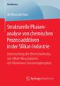 Couverture de l'ouvrage Strukturelle Phasenanalyse von chemischen Prozessadditiven in der Silikat-Industrie