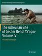 Couverture de l'ouvrage The Acheulian Site of Gesher Benot Ya‘aqov Volume IV
