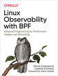 Couverture de l'ouvrage Linux Observability with BPF