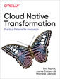 Couverture de l'ouvrage Cloud Native Patterns
