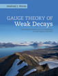 Couverture de l'ouvrage Gauge Theory of Weak Decays