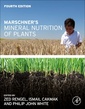 Couverture de l'ouvrage Marschner's Mineral Nutrition of Plants