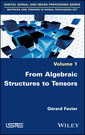 Couverture de l'ouvrage From Algebraic Structures to Tensors