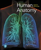 Couverture de l'ouvrage Human Anatomy