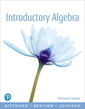 Couverture de l'ouvrage Introductory Algebra