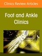 Couverture de l'ouvrage Deltoid-Spring Ligament Complex and Medial Ankle Instability, An issue of Foot and Ankle Clinics of North America