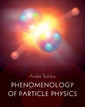 Couverture de l'ouvrage Phenomenology of Particle Physics