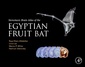 Couverture de l'ouvrage Stereotaxic Brain Atlas of the Egyptian Fruit Bat