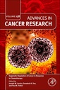 Couverture de l'ouvrage Epigenetic Regulation of Cancer in Response to Chemotherapy