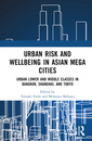 Couverture de l'ouvrage Urban Risk and Well-being in Asian Megacities