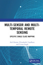 Couverture de l'ouvrage Multi-Sensor and Multi-Temporal Remote Sensing