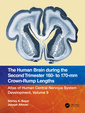 Couverture de l'ouvrage The Human Brain during the Second Trimester 160– to 170–mm Crown-Rump Lengths