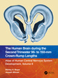 Couverture de l'ouvrage The Human Brain during the Second Trimester 96– to 150–mm Crown-Rump Lengths