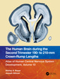 Couverture de l'ouvrage The Human Brain during the Second Trimester 190– to 210–mm Crown-Rump Lengths