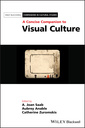Couverture de l'ouvrage A Concise Companion to Visual Culture