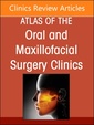 Couverture de l'ouvrage Reconstruction of the Mandible, An Issue of Atlas of the Oral & Maxillofacial Surgery Clinics
