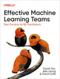Couverture de l'ouvrage Effective Machine Learning Teams