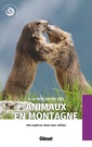 Couverture de l'ouvrage À la rencontre des animaux en montagne (2e ed)